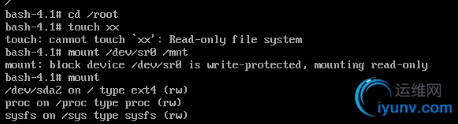 DSC00017.png