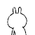 DSC00024.gif