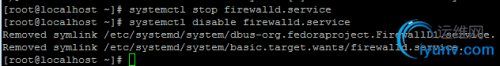 DSC0006.png