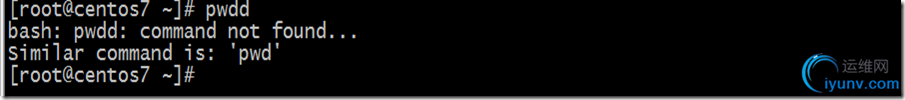 DSC00010.png