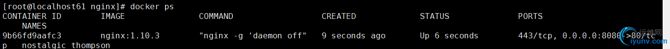 DSC0001.png