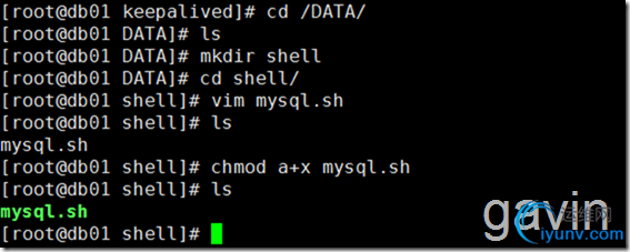 DSC00046.png