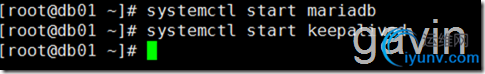 DSC00065.png