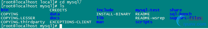 DSC00011.png
