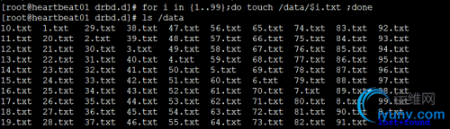 DSC0000.png