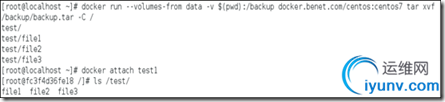 DSC00017.png