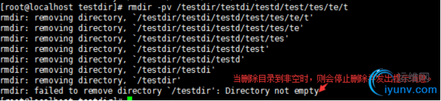 DSC00022.png