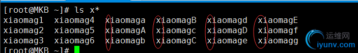 DSC0000.png