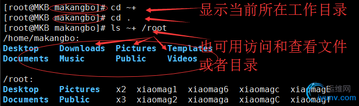 DSC0004.png