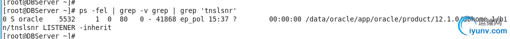 DSC00070.png