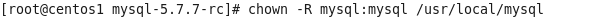 DSC00010.png