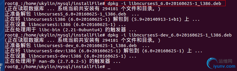 DSC0007.png