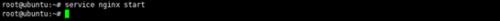 DSC0005.png