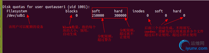 DSC00010.png
