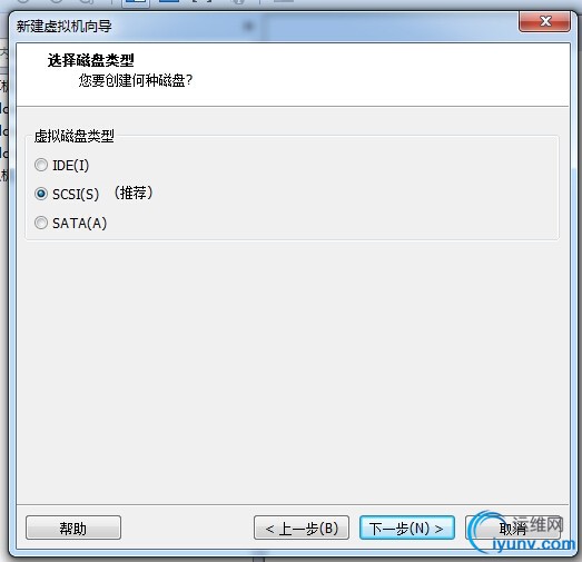 DSC00010.jpg