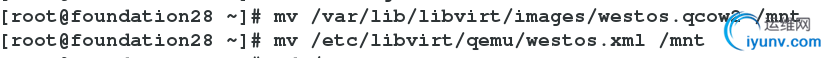 DSC00012.png