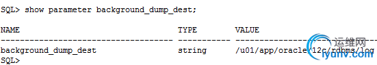 DSC00017.png