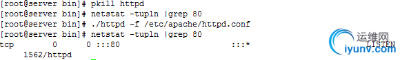 DSC00017.png