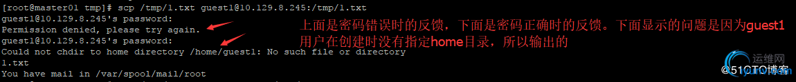 DSC0000.jpg