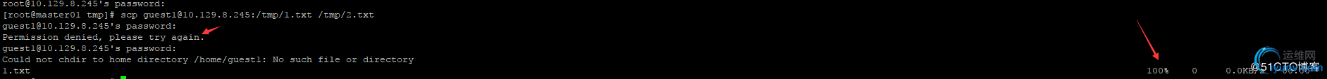 DSC0002.jpg