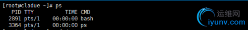 DSC0004.png