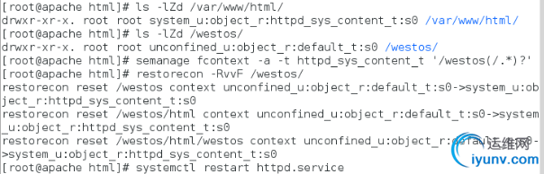 DSC00011.png