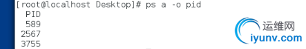 DSC0004.png