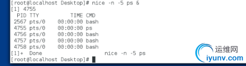 DSC0007.png