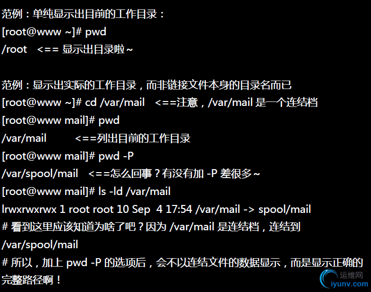 DSC00019.png