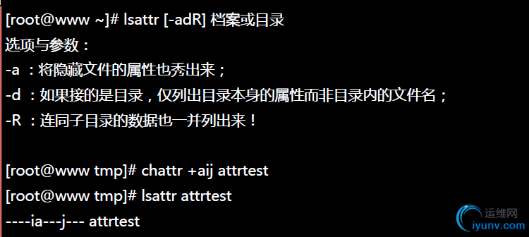 DSC00058.png