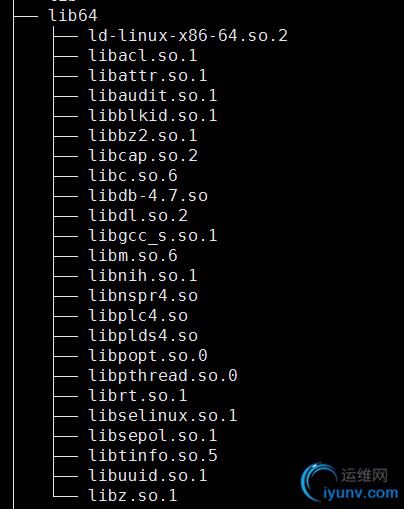 DSC00052.png