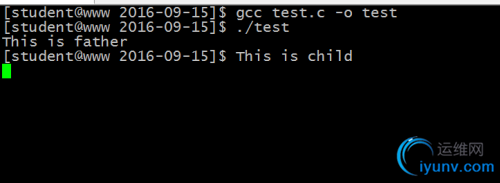 DSC0005.png