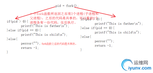 DSC0006.png