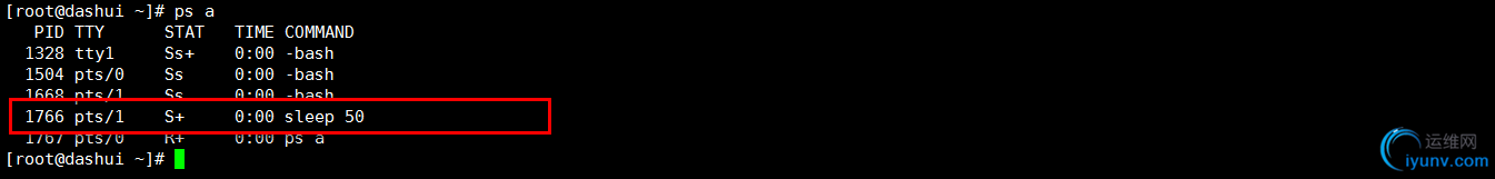 DSC0007.png