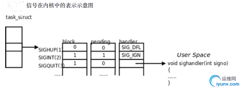 DSC0000.png