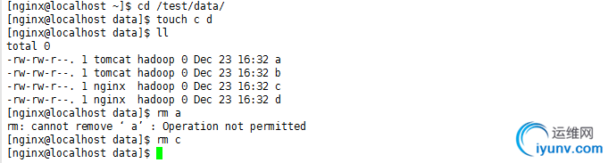 DSC0008.png
