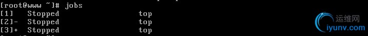 DSC00010.jpg