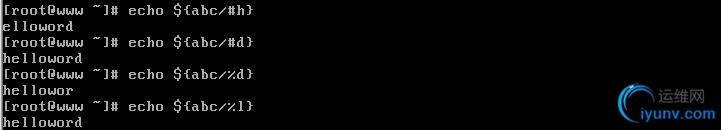 DSC00029.jpg