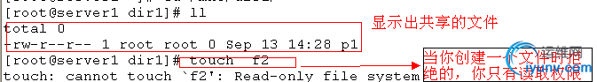 DSC0004.png