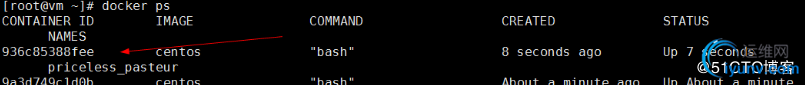 DSC00023.jpg