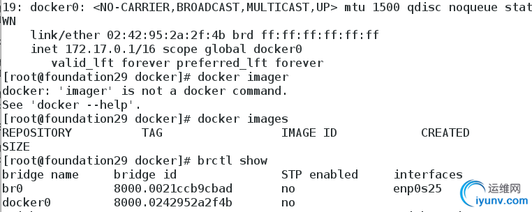 DSC0002.png