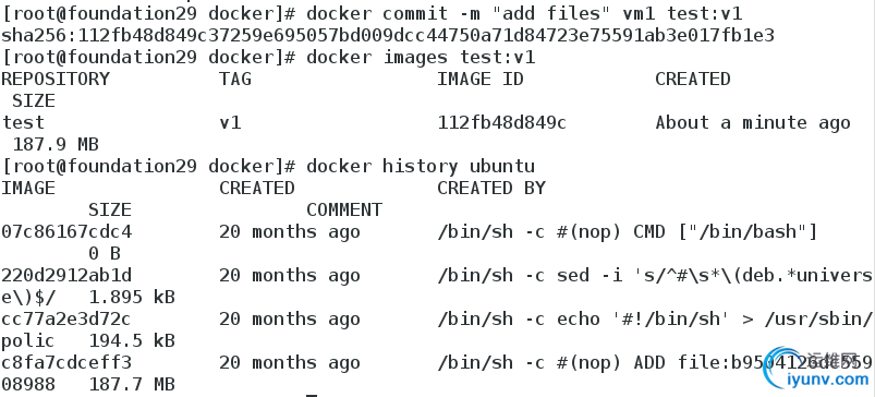 DSC0005.png