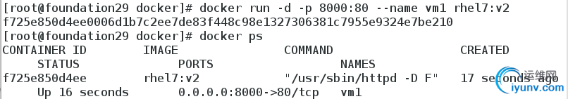 DSC00042.png