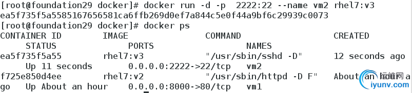 DSC00047.png
