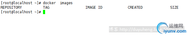 DSC0000.png