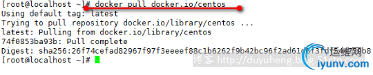 DSC0001.png