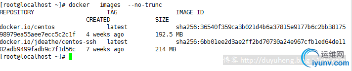 DSC0006.png