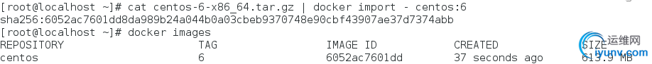 DSC00020.png