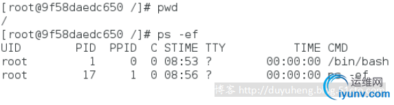 DSC0001.png