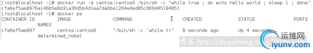 DSC0009.png
